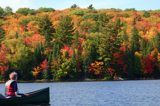Algonquin Park 3-Day Deluxe Camping & Canoeing Adventure - Key Points