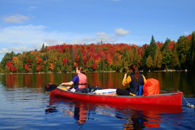 Algonquin Park 4-Day Deluxe Camping & Canoeing Adventure - Key Points