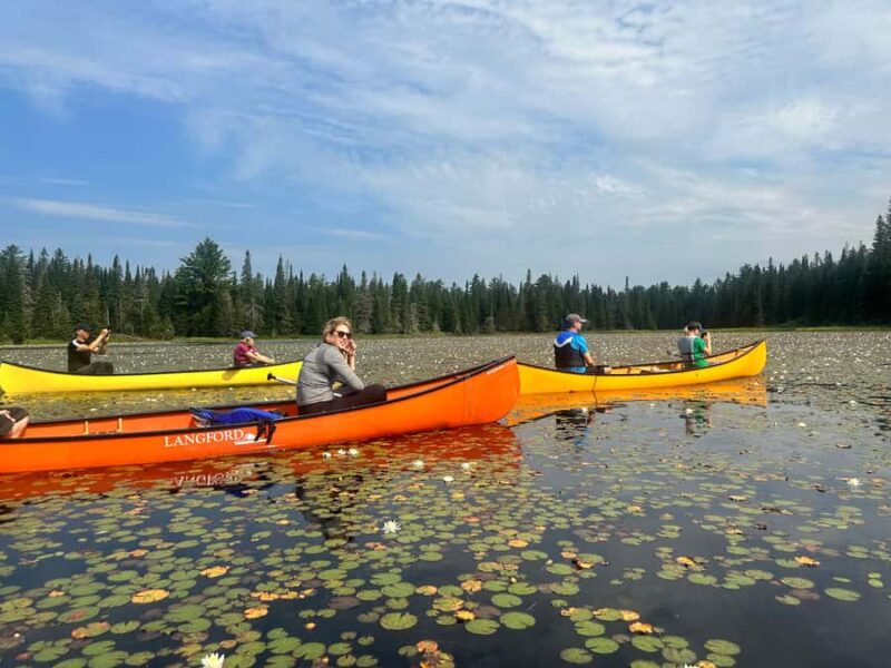 Algonquin Park Day Tour: Canoeing Adventure - Starting Point: Canoe Lake Beach in Algonquin Park