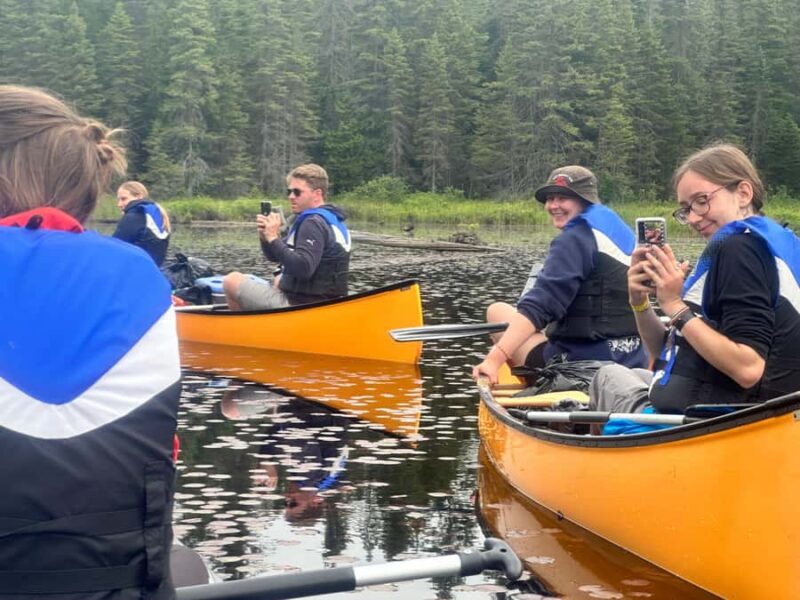 Algonquin Park Day Tour: Canoeing Adventure - Wildlife Spotting at Moose Pockets and Beaver Ponds