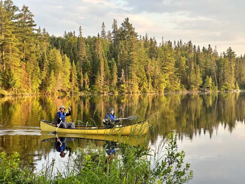 Algonquin Park Day Tour: Canoeing Adventure - Necessary Equipment and What to Bring