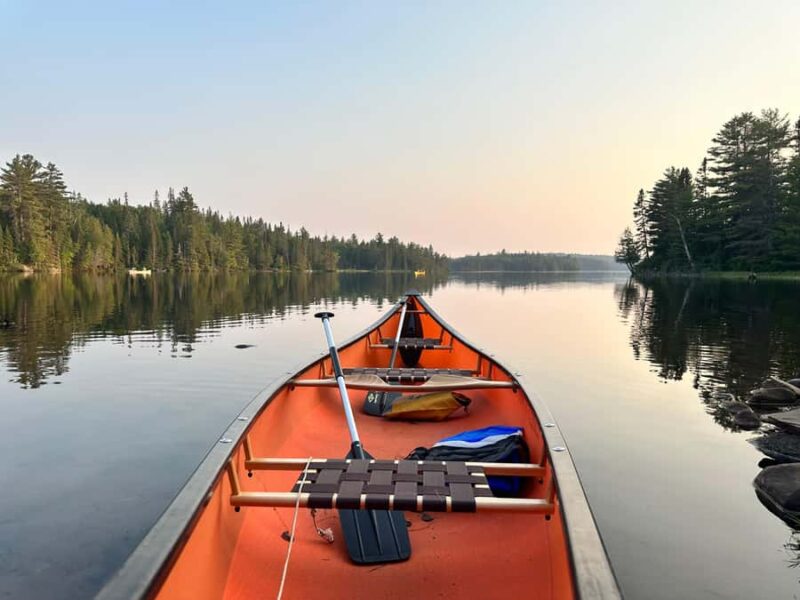 Algonquin Park Day Tour: Canoeing Adventure - Group Size, Physical Requirements, and Restrictions