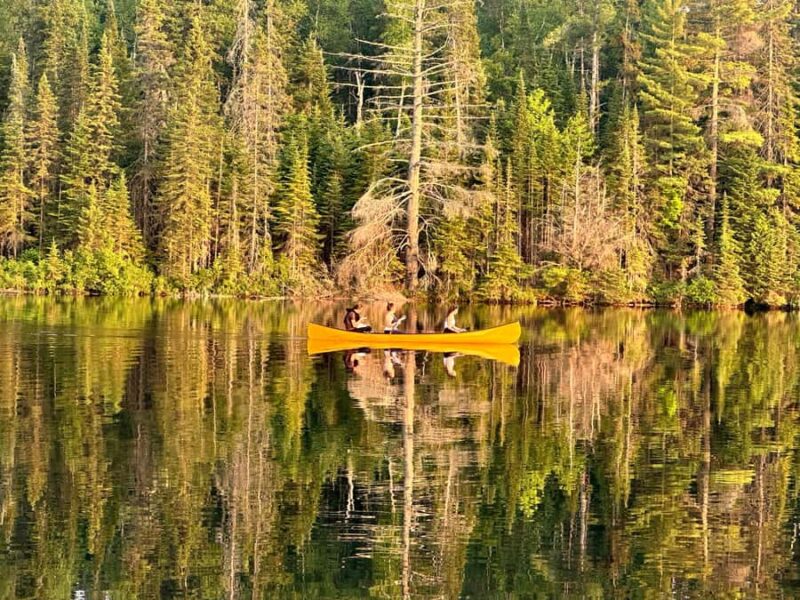 Algonquin Park Day Tour: Canoeing Adventure - Cancellation Policy and Booking Flexibility
