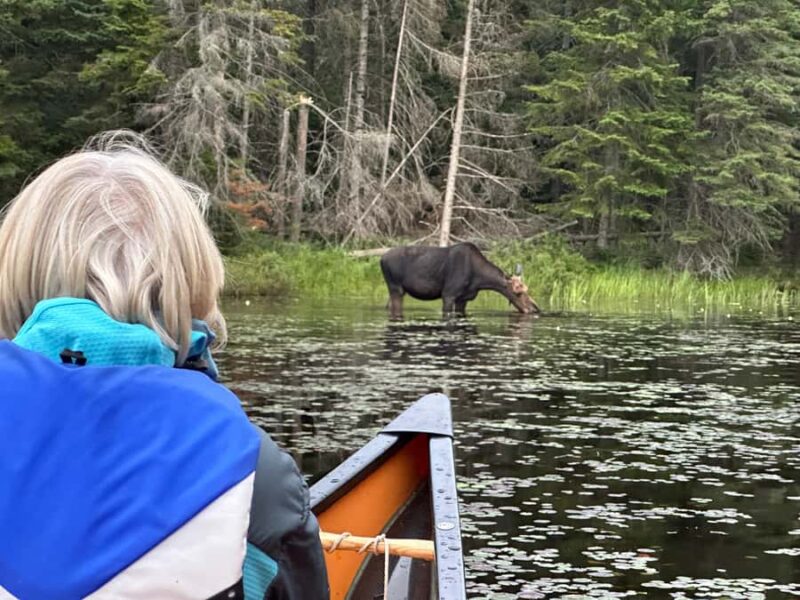 Algonquin Park: Luxury 4-Day/3-night Canoe and Camping Tour - Night Paddling and Star Gazing Experiences