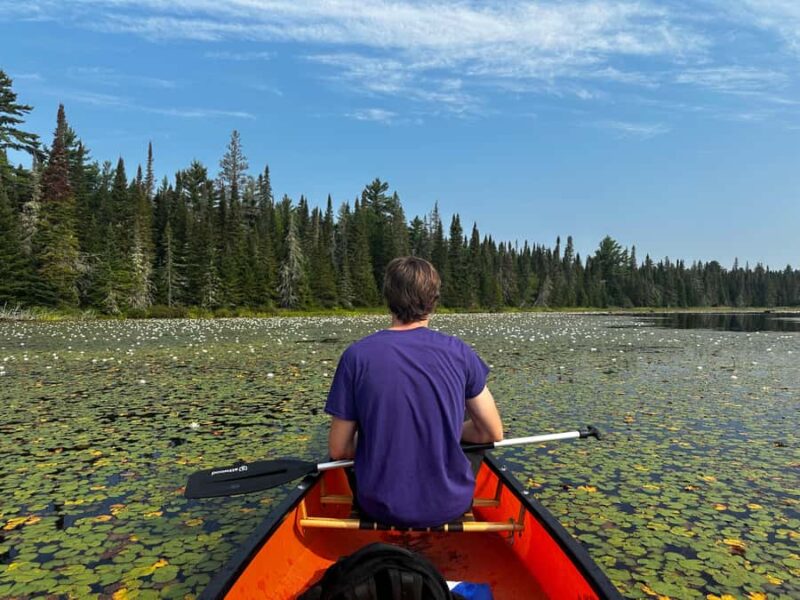 Algonquin Park: Luxury 4-Day/3-night Canoe and Camping Tour - Final Thoughts on the Algonquin Park Canoe and Camping Tour