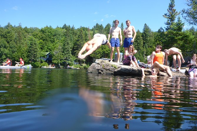 Algonquin Provincial Park Day Tour from Toronto - Explore the Beauty of Algonquin Provincial Park from Toronto