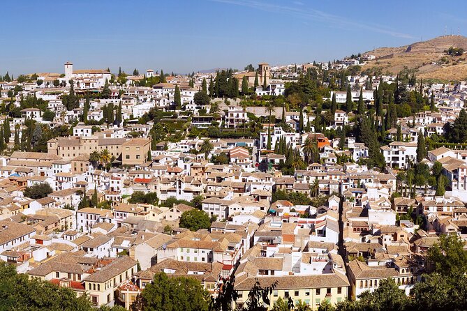 Alhambra and Albaicin Private Day Trip from Malaga - The Experiences Strengths and Limitations