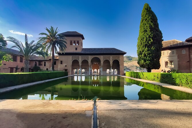 Alhambra and Nasrid Palaces: Skip-the-line Ticket and Local Guide - Inside the Palaces: Art, Architecture, and Gardens