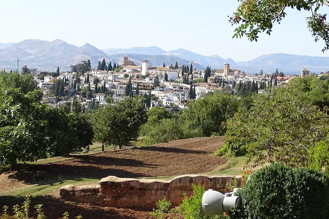 Alhambra and Nasrid Private Walking Tour with Food Tasting - Tasting Nasrid Cuisine at a Carmen