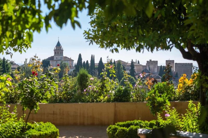 Alhambra: complete private tour with official tour guide and tickets - Visiting the Nasrid Palaces’ Artistic Masterpieces