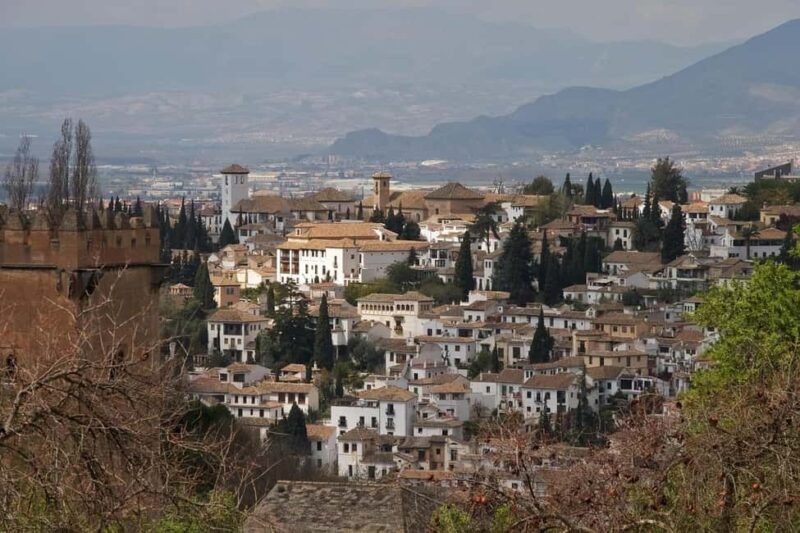 Alhambra: complete private tour with official tour guide and tickets - Who Should Choose This Tour?