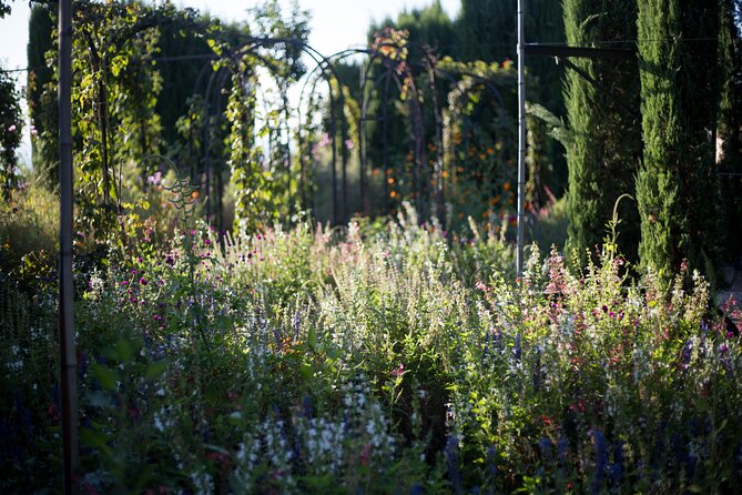 Alhambra Day or Night Private Tour - Exploring the Palacio El Partal