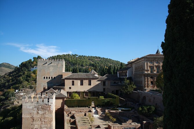 Alhambra Day Trip with Optional Nasrid Palaces from Malaga - Considerations for Accessibility and Physical Demands