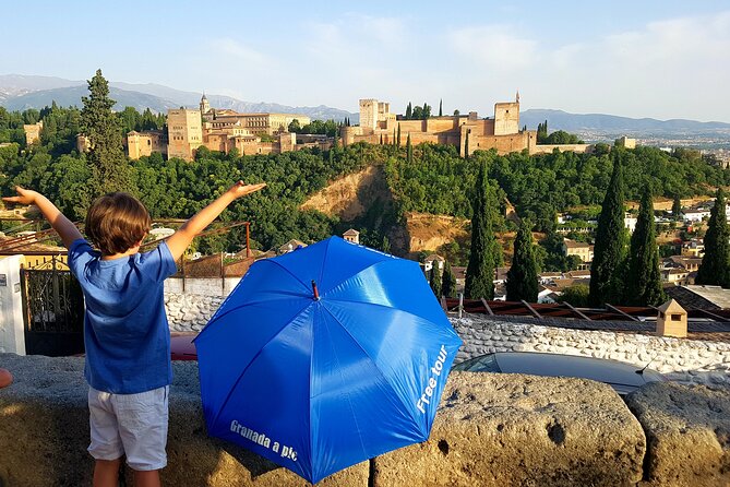 Alhambra, Generalife & Nasrid Palaces Guided Tour in Granada - Comparing to Other Tour Options
