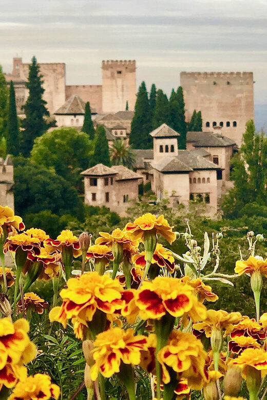 Alhambra: Guided Private Tour with Fast-Track Entry - Final Thoughts on the Alhambra Private Guided Tour