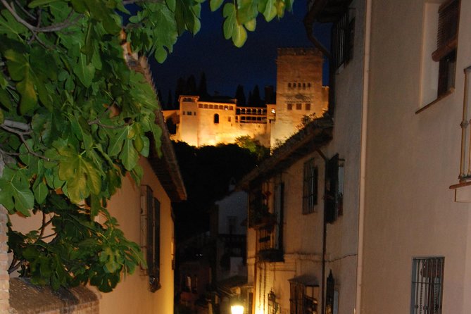 Alhambra: Night Visit to Nasrid Palaces - Lighting and Atmosphere in the Night Setting