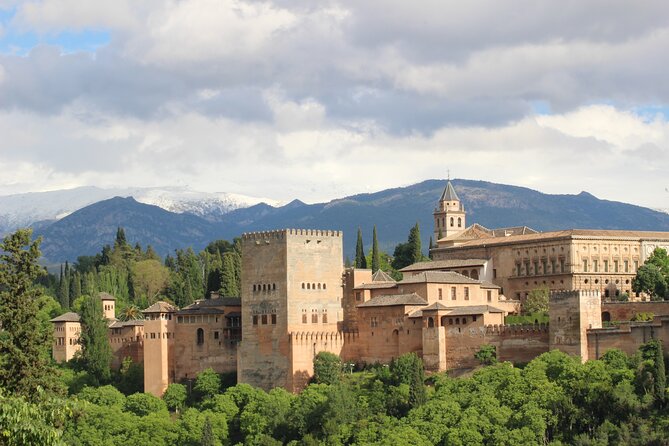 Alhambra private tour with tickets - A Private Tour of the Alhambra with Tickets in Granada