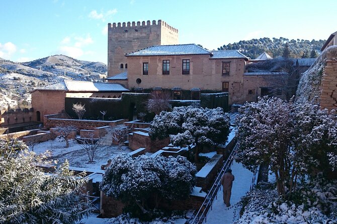 Alhambra private tour with tickets - Key Points