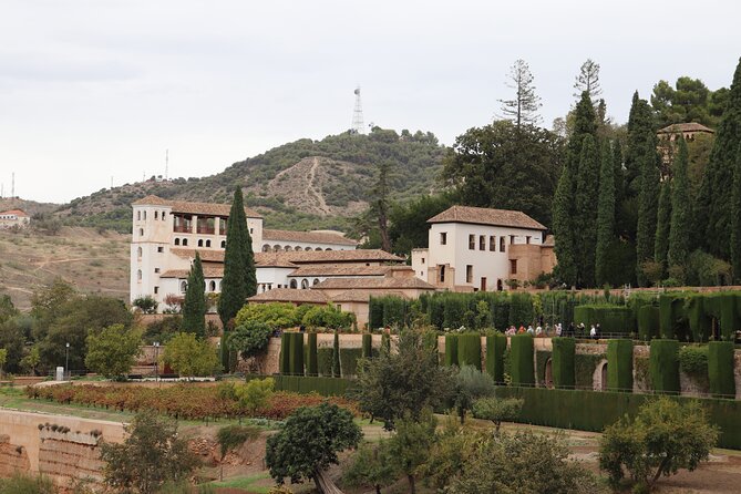 Alhambra Private Tour with tickets - Key Points