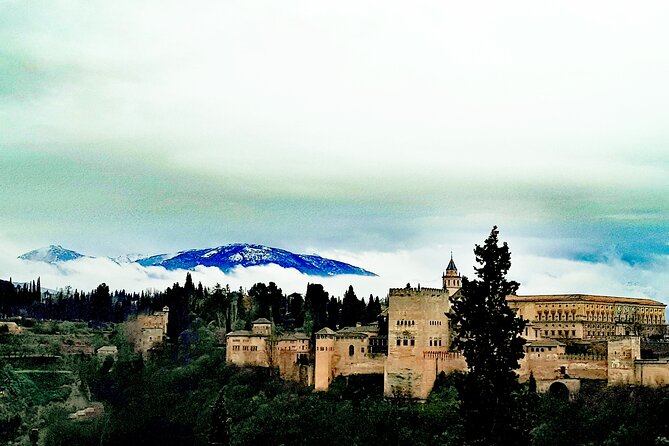 Alhambra Private Tour with Tickets to the Nasrid Palaces - The Guided Experience: Knowledgeable and Engaging Guides