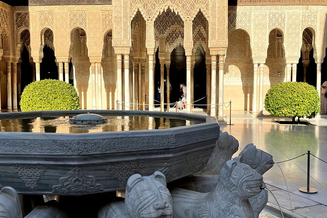 Alhambra private tour (without tickets) total/group Max 15 people - Accessibility and Amenities