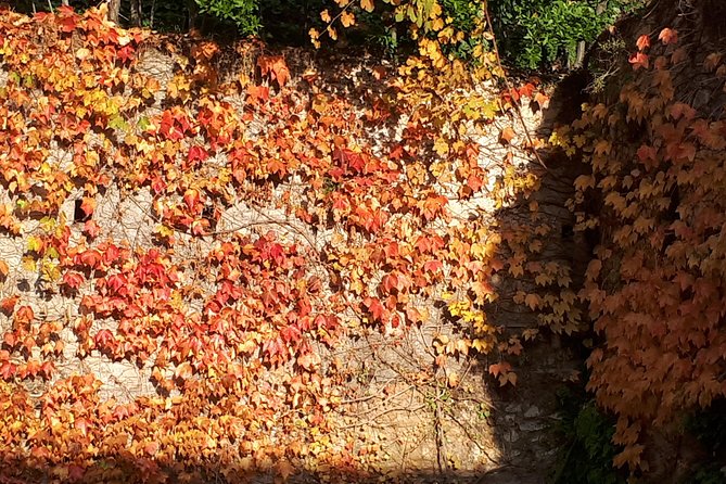 Alhambra Sultan Gardens ,Palaces and towers .Skip the line - Who Will Appreciate This Tour Most