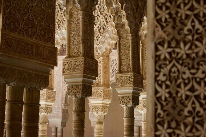 Alhambra: tour with Nasrid Palaces. Admission not included - The Palace of Charles V and Surrounding Area