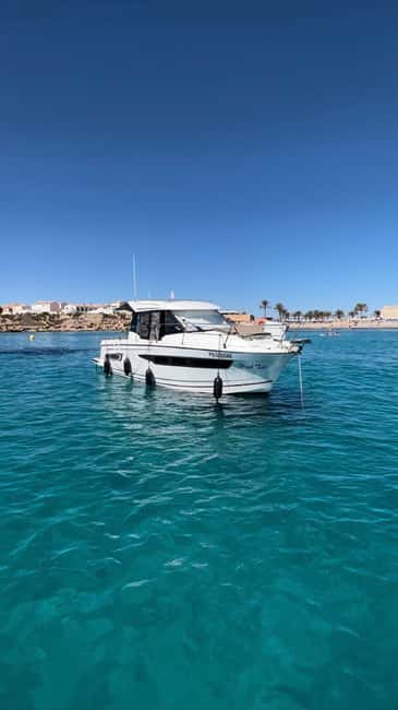 Alicante: A two-hour boat ride with a drink - Key Points