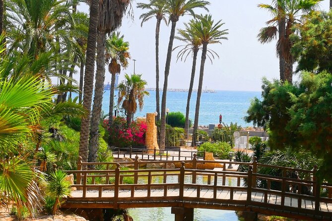 Alicante: Calas & Beaches Snorkeling with E - Bikes - The Guide: Knowledge, Warmth, and Personal Attention