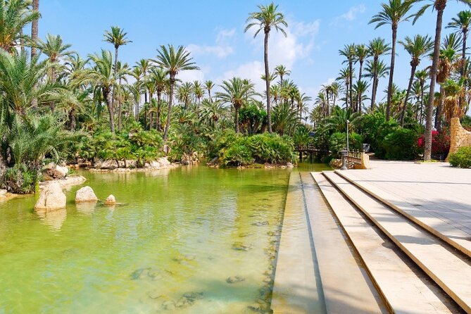 Alicante: Calas & Beaches Snorkeling with E - Bikes - Who Should Consider This Tour?