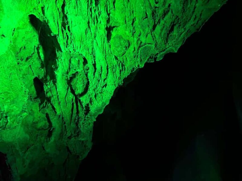 Alicante: Canelobre Caves and Busot Tour - From Alicante to the Canelobre Caves: A Scenic Drive