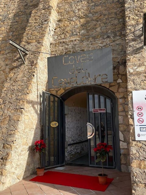 Alicante: Canelobre Caves & Busot Tour including transfer - Accessibility and Limitations