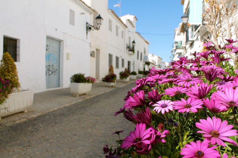 Alicante Charming Villages Tour: Villajoyosa and Altea - Logistics, Transportation, and Group Size