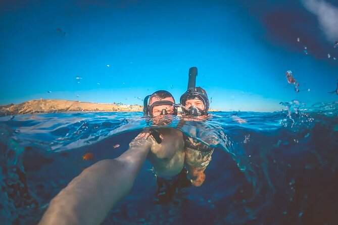 Alicante E-Bike Coast Tour with Román Fishpond and Snorkeling - Starting Point and Meeting Logistics in Alicante