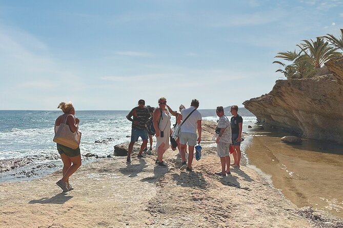Alicante E-Bike Coast Tour with Román Fishpond and Snorkeling - Scenic Views from Mirador del Raval Roig