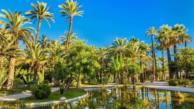Alicante & Elche: Day Trip with visit to the Santa Bárbara Castle - Discovering Elche’s UNESCO Palm Grove and Historic Center