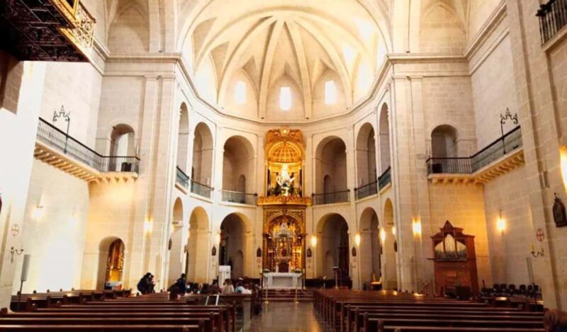 Alicante & Elche: Day Trip with visit to the Santa Bárbara Castle - Who Will Enjoy This Tour Most?