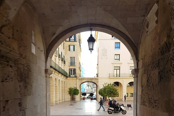 Alicante & Elche. Transport, guide and monuments. - Practical Details and Booking Insights