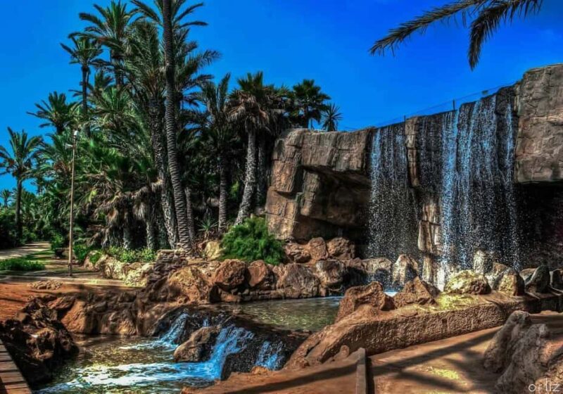 Alicante: electric scooter tour - Unique Stops Along El Carrer dels Bolets and the Explanada de Espana