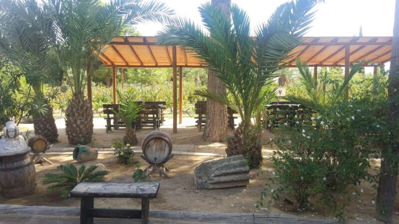 Alicante: Family Winery of Three Generations (4 testings) - The Personal Welcome at a Family-Owned Winery