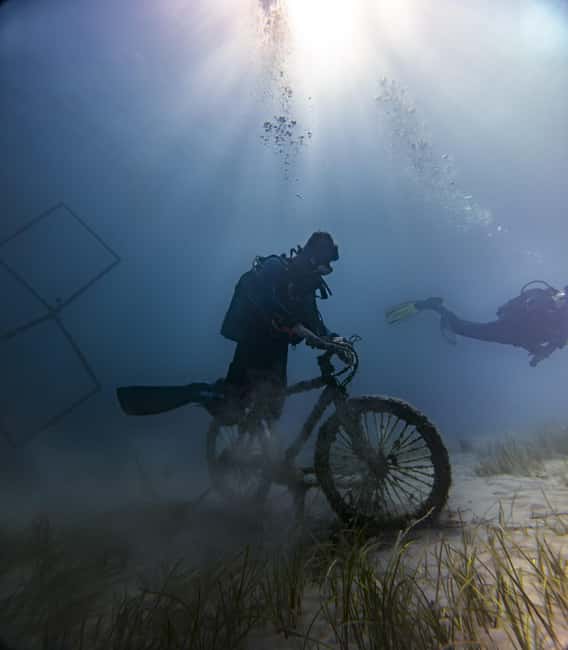 Alicante: Guided Diving Tour for Certified Divers - The Meeting Point at Dive Academy Santa Pola