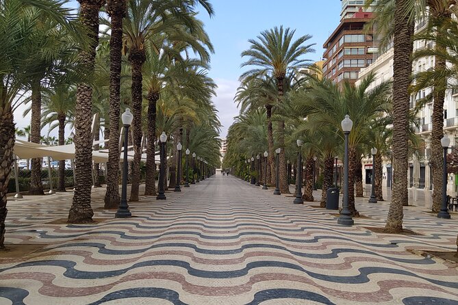 Alicante Highlights Private Tour with Castle - The Guided Experience and Personal Touch
