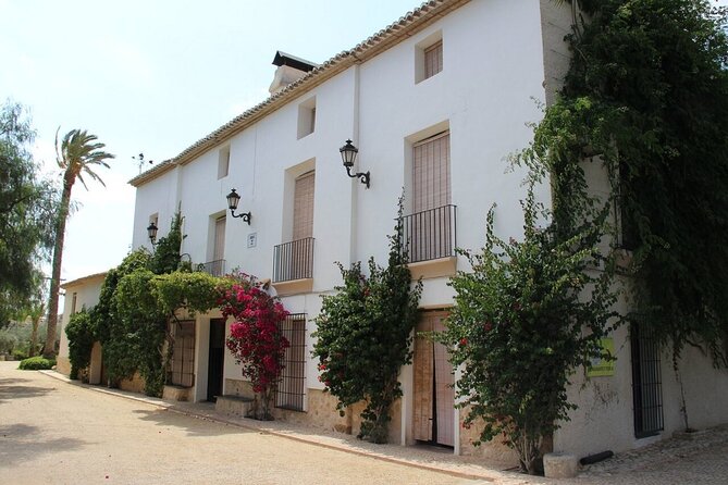 Alicante Old Winery Tour and Wine Tasting Including Transfer - Key Points