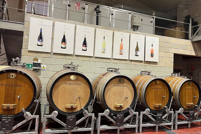 Alicante Old Winery Tour and Wine Tasting Including Transfer - Practical Details and Group Size