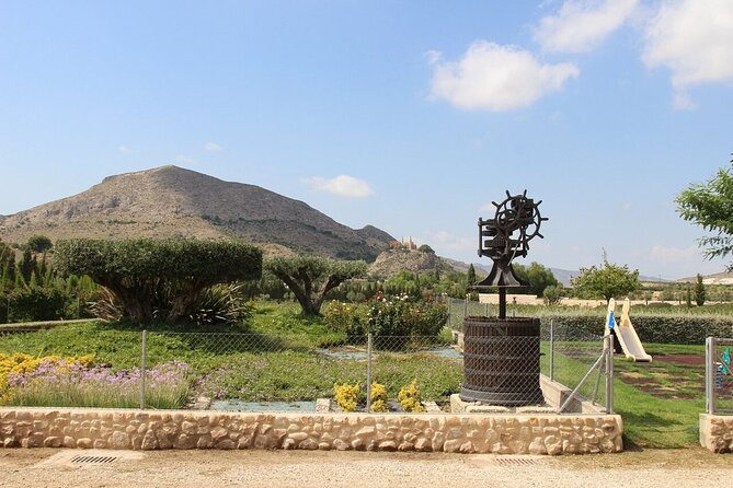 Alicante Old Winery Tour and Wine Tasting Including Transfer - The Sum Up: A Warm Welcome into Alicante’s Wine Heritage