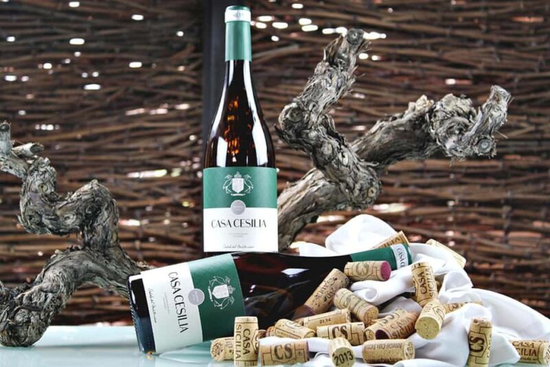 Alicante: Old Winery with Tastings & Gaudí's style of Church - What’s Included and What to Consider