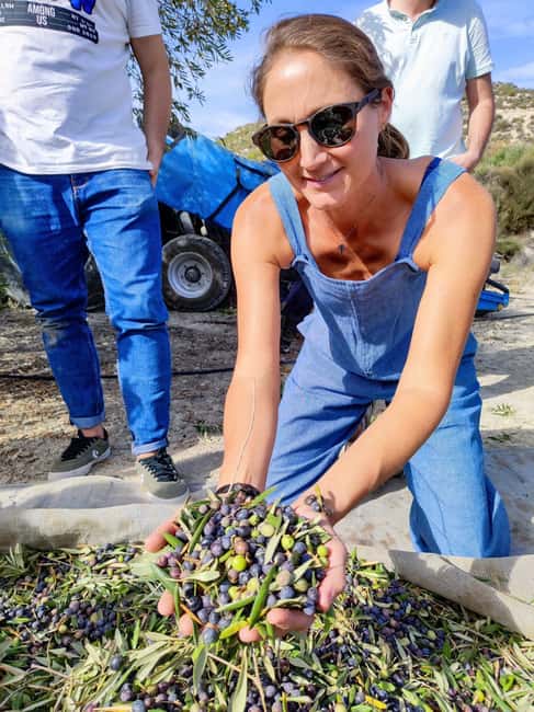 Alicante: Olive Oil Tour with Tasting and Picnic - Discovering Alicante’s Olive Groves and Production Methods