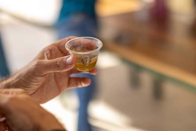 Alicante: Olive Oil Tour with Tasting and Picnic - Scenic Picnic of Regional Products in the Alicante Hills