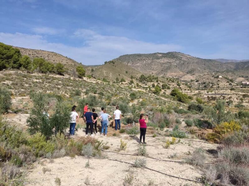 Alicante: Olive Oil Tour with Tasting and Picnic - Practicalities: Meeting Point and Group Size