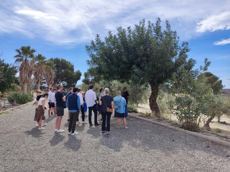 Alicante: Olive Oil Tour with Tasting and Picnic - Logistics and Practical Tips for Participants
